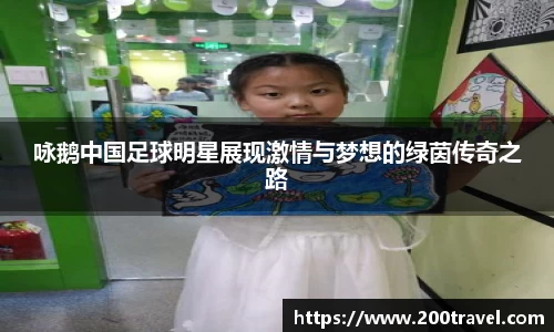 咏鹅中国足球明星展现激情与梦想的绿茵传奇之路